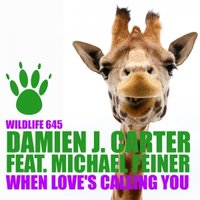 DJ Cross - Damien J. Carter feat. Michael Feiner - When Love's Calling You (DJ Cross Remix Radio Edit)