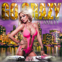 dj Amely - GO CRAZY