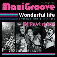 DJ Frust - MaxiGroove – Wonderful Life (DJ Frust Remix)(Extended mix)