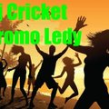 Dj Cricket - Promo Ledy