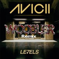SiberianDubs - Avicii-Levels(Woobler Remix 2012)PREVIEW