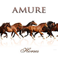 Amure - Horses