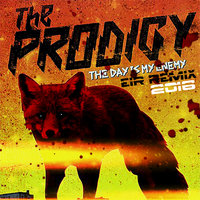 Eir - The Prodigy - The Day Is My Enemy (Eir Remix)