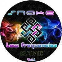 Twinrise - SNAKE - Low frequencies st.1
