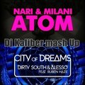 DJ Kaliber - Nari & Milani & Dirty South & Alesso - City Of Atom (Dj Kaliber MashUp)