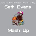 Dj Seth Evans - Justice  feat. Peter Gelderblom - Friends Me Baby ( Seth Evans Mash Up )