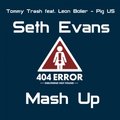 Dj Seth Evans - Tommy Trash feat. Leon Bolier - Pig US ( Seth Evans Mash Up)