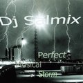 Dj Salmix - Perfect Musical Storm