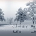 Crystal Project - Crystal Project - Life Line