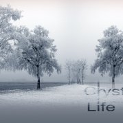 Crystal Project - Crystal Project - Life Line
