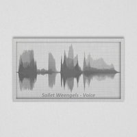 Sailet Weengels - Voice (Original Mix)