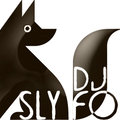 Dj Sly Fox - Shaggy - Mr. Boombastic (Sly Fox Mash up) (cut version)
