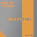 Motion Blur - Salamandra