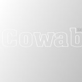DJ Sverdlovskiy - Cowabunga (November Tech House Mix 2011)