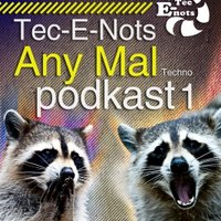 Tec-E-Nots - Tec-E-Nots - Any Mal podcast 1
