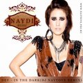 Dj Naytove (4DJS/Moscow) - Dev - In The Dark (Dj Naytove Remix)