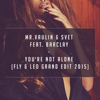Leo Grand - Mr.Vaulin & SVET feat. Barclay - You're Not Alone (Fly & Leo Grand Edit 2015)