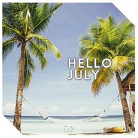 D.S. - Hello July