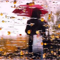 Angeloider - Tears of autumn