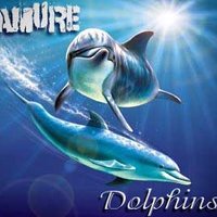 Amure - Dolphins