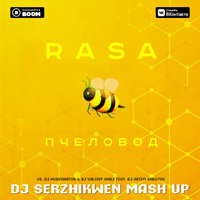 Dj Serzhikwen - RASA vs. DJ ModerNator & DJ Valeriy Smile feat. DJ Artem Shustov - Пчеловод (Dj Serzhikwen Mash Up