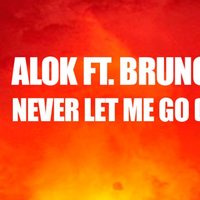 Avenso - Alok & Bruno Martini feat. Zeeba  Hear Me Now (Avenso ft. Vadim Adamov remix)