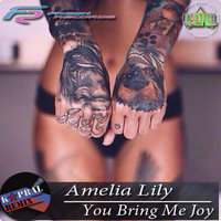Dj Kapral - Amelia Lily - You Bring Me Joy (Dj Kapral Remix)