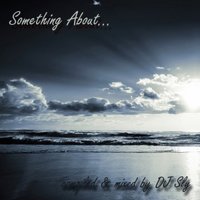 SlyDJ - Something About...