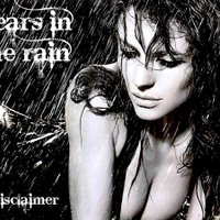 MrDisclaimer - Tears In The Rain