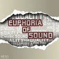 Dj RoZa - Радио-шоу «Euphoria of Sound» (PaRt 27)-Zemtsov, David Sichinawa