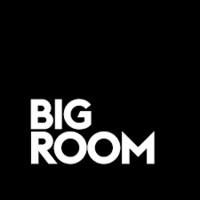WILLY STAR - Big Room DROPS 002
