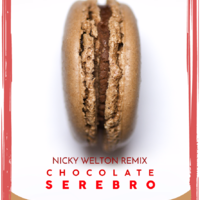 Nicky Welton - SEREBRO - CHOCOLATE (Nicky Welton REMIX)