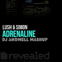 ANDMELL - Lush & Simon vs. Bright Lights - Adrenaline Escape (DJ Andmell MashUp)
