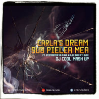 DJ Cool - Carla's Dreams ft. Stifmaster vs A One & Alex Shik ft. Duck - Sub Pielea Mea (DJ Cool Mash up)