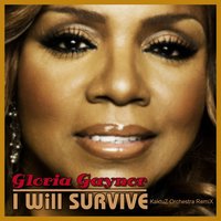 DJ KaktuZ - Gloria Gaynor - I Will Survive (KaktuZ Orchestra RemiX)
