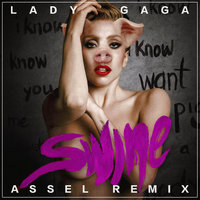 Assel - Lady Gaga - Swine (Assel remix)