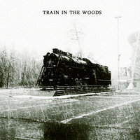 Hank Hobson - Train In The Woods