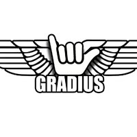 Gradius - Guru Josh Project vs Shiba San -  OKAY infinity (DJ Gradius Mash up)