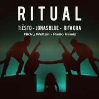 Nicky Welton - Tiesto, Jonas Blue & Rita Ora - Ritual (Nicky Welton Radio Remix)