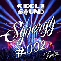 RIDDLE SOUND - RIDDLE SOUND - Synergy #002