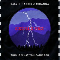 SΣDRiX - Calvin Harris feat Rihanna - This Is What You Came For(SEDRiX RMX)