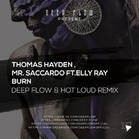 Deep Flow - Thomas Hayden, Mr. Saccardo ft. Elly Ray - Burn (Deep Flow & Hot Loud Remix)