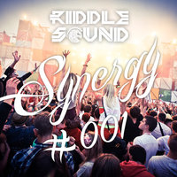 RIDDLE SOUND - Riddle Sound - Synergy #001
