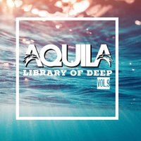 Dj Aquila - Library Of Deep vol.9