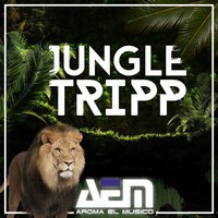 PiO - AeM - Jungle Tripp (Original mix)