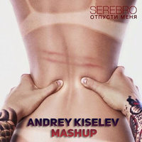 DJ Andrey Kiselev - Серебро vs. EDXs - Отпусти меня(ANDREY KISELEV Mashup) - Gm
