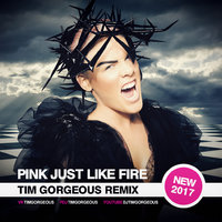 Tim Gorgeous - Pink - Just Like Fire (Tim Gorgeous Remix) [Clubmasters Records Artist]