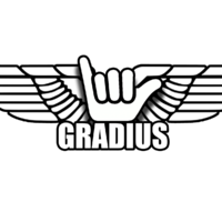 Gradius - Девочка с Instagram (DJ Gradius remix)