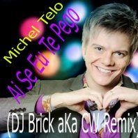 Dj Brick - Michel Telo - Ai Se Eu Te Pego (DJ Brick aKa CW Remix)