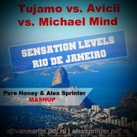 Dj Martin - Tujamo vs. Avicii vs. Michael Mind - Sensation levels Rio de Janeiro (Pure Honey & Alex Sprinter Mashup)